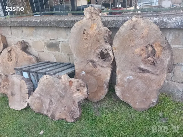 шайби от изсъхнал орех , снимка 2 - Декорация за дома - 50315436