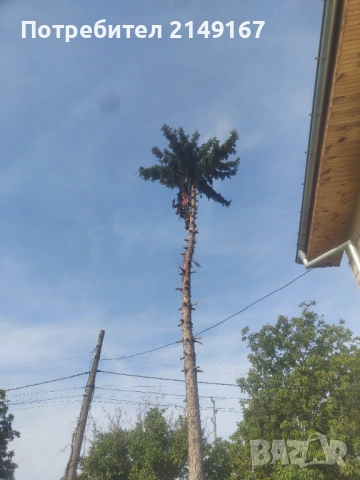 Рязане почистване извозване , снимка 4 - Други услуги - 53743500