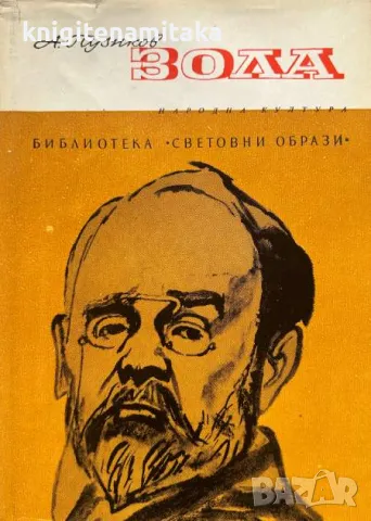 Зола - Александър Пузиков, снимка 1