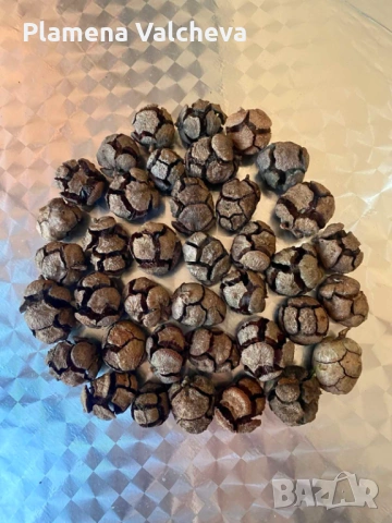 Кипарисови топчета за проекти и декорации