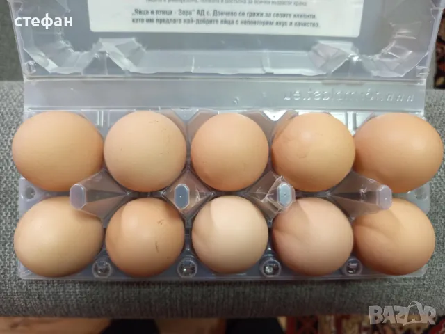 Продавам разплодни яйца за люпене  Супер харко и Шведска шарена носачка