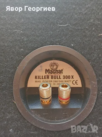 Бас каса Магнат, снимка 2 - Тонколони - 49796299