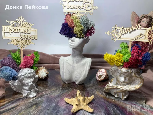 Различни модели кашпи със естествен скандинавски мъх и пожелания, снимка 3 - Стайни растения - 47476759