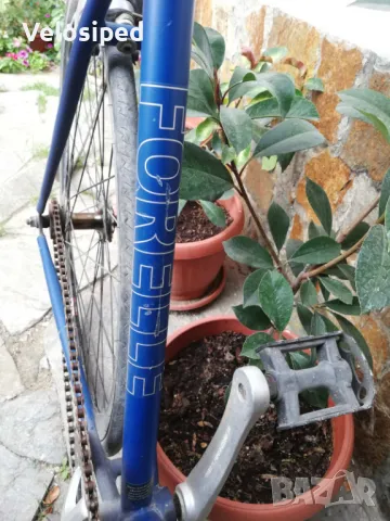 Велосипед Forelle Blau пистов, снимка 4 - Велосипеди - 47791614