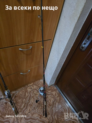 Въдица за големи шарани , снимка 5 - Въдици - 53643386