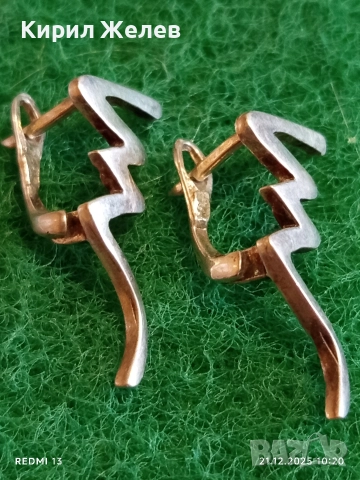 Сребърни дамски обеци СВЕТКАВИЦА подходящ аксесоар за ежедневието 17136, снимка 2 - Обеци - 52863645