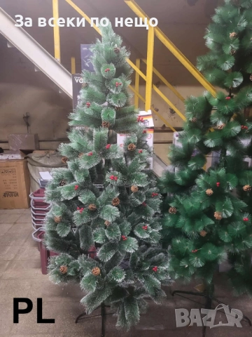 Коледни елхи с бели връхчета – различни размери Код P1465