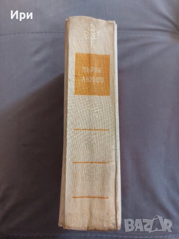 Първа любов, снимка 6 - Художествена литература - 41285348