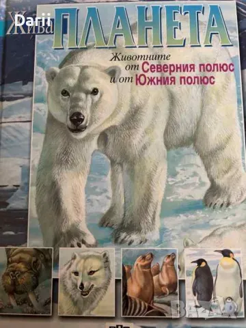 Жива планета: Животните от Северния полюс и от Южния полюс