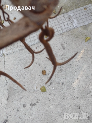 Ченгел (котка) , снимка 2 - Антикварни и старинни предмети - 52296414