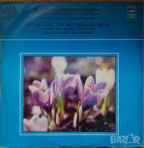 Грамофонни плочи руски Мелодия 1 цени в обявата, снимка 17 - Грамофонни плочи - 41962053