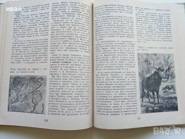 По следите на изчезналите животни - Николай Йовчев - 1982г., снимка 5 - Наука, техника и компютри - 56207814