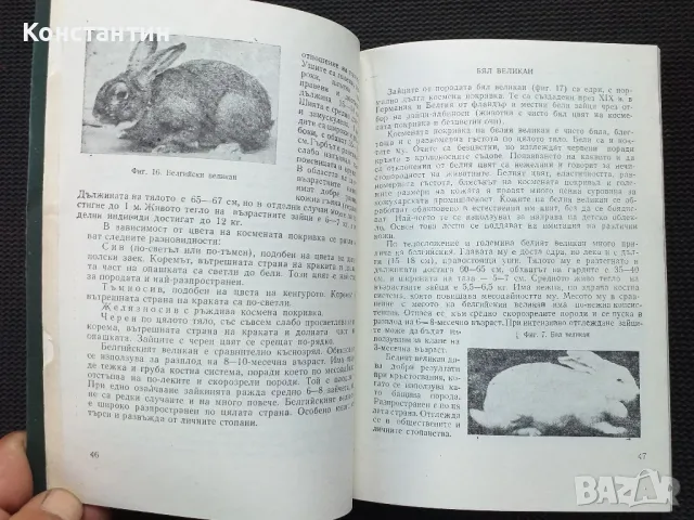 Отглеждане на зайци, снимка 5 - Специализирана литература - 49977665
