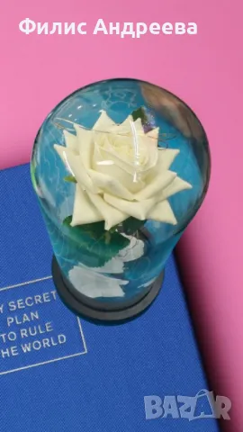 Бяла роза под стъклен купол - Вечна елегантност, снимка 6 - Подаръци за жени - 48675050