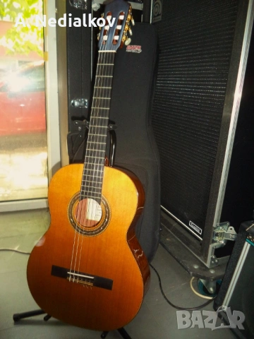 Antonio de Torres/Fandango FG classic guitar, снимка 12 - Китари - 53777786