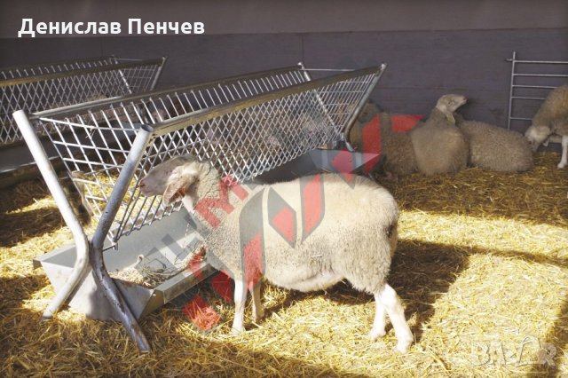 Хранилки/ясли за овце, снимка 16 - За селскостопански - 34655250