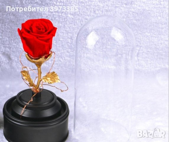 Роза в стъкленица, снимка 1