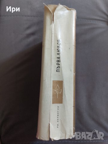 Първа любов, снимка 3 - Художествена литература - 41285348