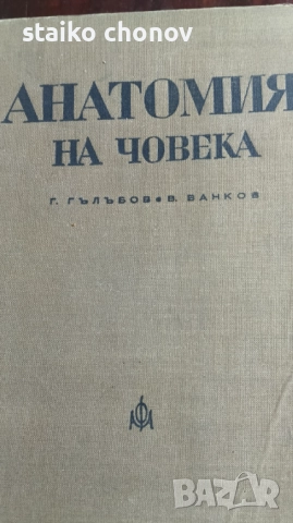 Анатомия на Човека