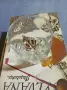 Сервиз от 6 чаши за уиски , снимка 4
