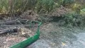 Мулчер шредера услуги , снимка 3