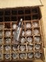 Радиолампи ECC81 ECC82 ECC83 5Ц4М 5Ц4С 6K7G 6Д20П , снимка 8