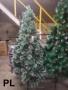 Коледни елхи с бели връхчета – различни размери Код P1465, снимка 1