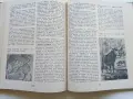 По следите на изчезналите животни - Николай Йовчев - 1982г., снимка 5