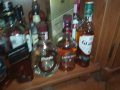 празни шишета от уиски-за колекция 1802221656, снимка 18