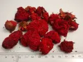 Сушен Нар цвят / Dried Pomegranate flower - punica granatum L, снимка 3