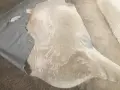 цяла телешка, естествена кожа /килим/, снимка 12