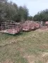Повдигнати боксове фиксатори за свине майки , снимка 1