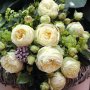 Роза 12, снимка 1 - Градински цветя и растения - 41787026