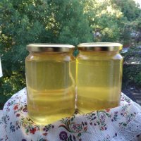 Натурален пчелен мед от акация, снимка 3 - Пчелни продукти - 41793799