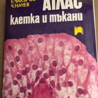 АТЛАС - КЛЕТКА И ТЪКАНИ - Е.ЧАКЪРОВ, Ч.НАЧЕВ , снимка 1 - Специализирана литература - 35671159