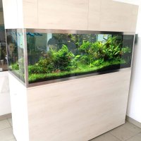 Изработвам сладководни аквариуми по желание и размер на клиента, снимка 13 - Аквариуми - 42346723