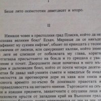 Черният конник - Цончо Родев, снимка 2 - Българска литература - 41933568