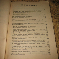 Домашна енциклопедия - плодолечение и козметика, снимка 4 - Други - 44914522