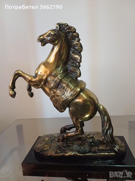 Бронзов кон, снимка 1