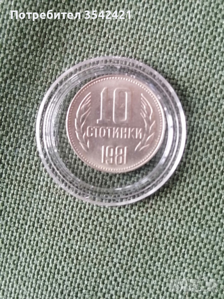 10 стотинки 1981година. , снимка 1