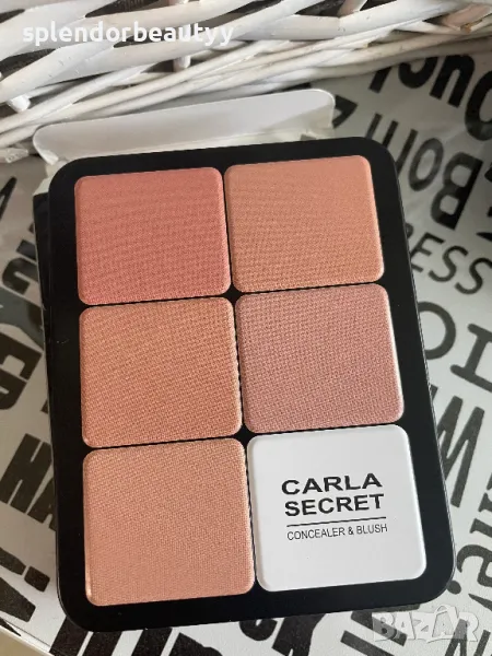 Carla Secret палитра,Професионална палитра за пълно покритие за лице, снимка 1