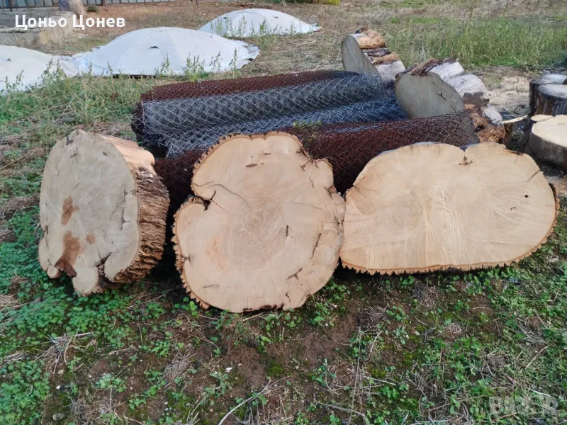 ЯСЕН ЗА ПЛОТОВЕ НА МАСИ НА ДИСКОВЕ, СУХ , снимка 1