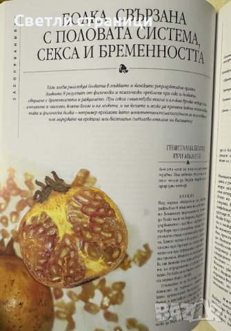 Болката - овладяване с природни средства: Пълно ръководство за самопомощ Безопасни и ефективни лечеб, снимка 6 - Специализирана литература - 44339457