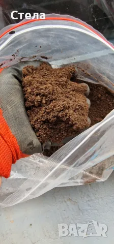 Тор за Разсад от калифорнийски червей, снимка 4 - Разсади - 40274283