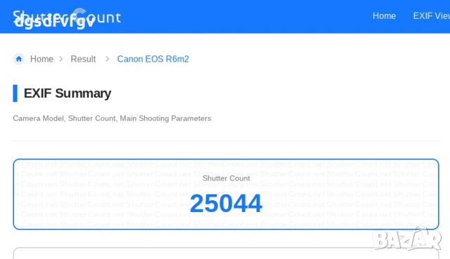Canon EOS R6 Mark II, снимка 2 - Фотоапарати - 52461178