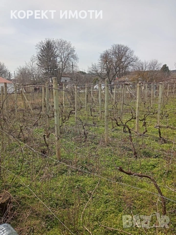 ПРОДАВА парцел за вилна сграда в кв. Еверест, снимка 6 - Парцели - 53765412