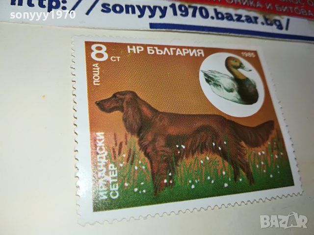 МАРКА 3 НРБ 1985 ИРЛАНДСКИ СЕТЕР 1203231544, снимка 5 - Филателия - 39972380