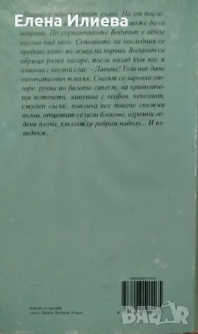Лавина - Блага Димитрова, снимка 2 - Българска литература - 48780688