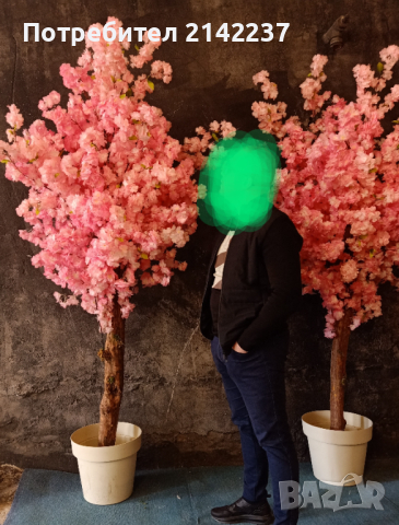 Изкуствени дръвчета , снимка 9 - Изкуствени цветя - 44702155