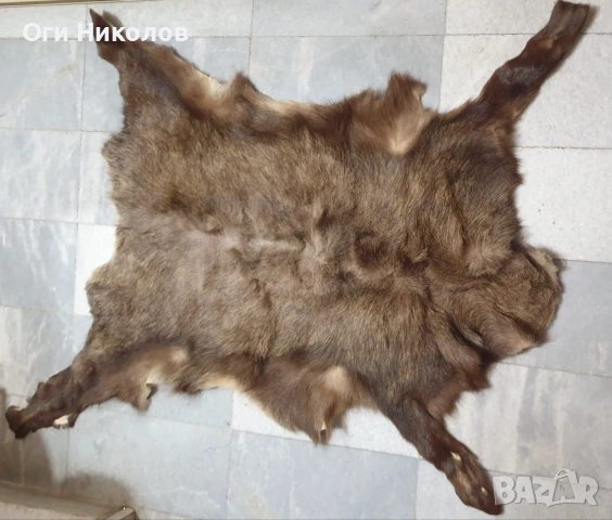 Дивечова кожа